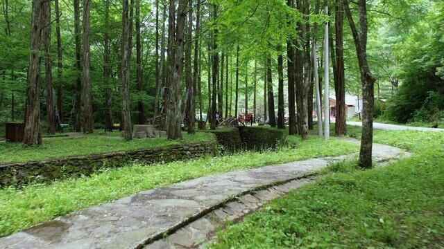 光阴如禅 落落清欢——遇见黎坪里的夏天#黎坪景区 #光阴的故事 #森林氧吧 #自然之美