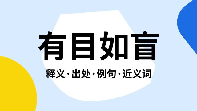 “有目如盲”是什么意思?