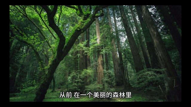 《勇敢的小蓝鸟》