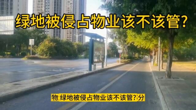 小区绿地被侵占物业公司该不该管?