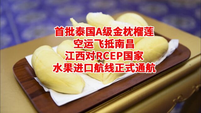 泰国金枕榴莲空运飞抵南昌,江西对RCEP国家水果进口航线正式通航