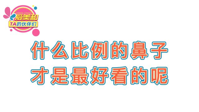 什么比例的鼻子才是最好看的呢