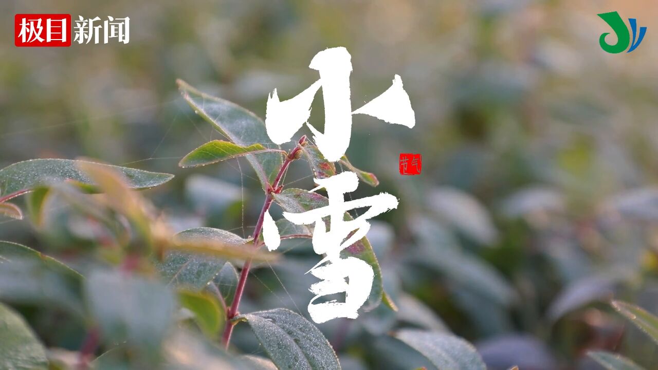 【视频】遇见江陵|湖北江陵:不下雪的“小雪”不迷茫