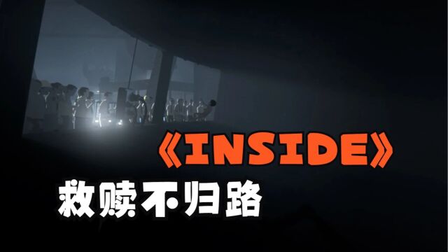 游戏神作《INSIDE》实况解说,我是我时,谁是我