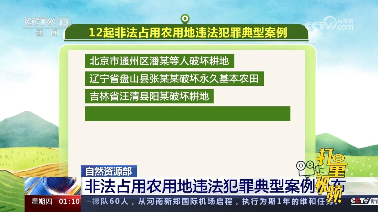 自然资源部:非法占用农用地违法犯罪典型案例公布