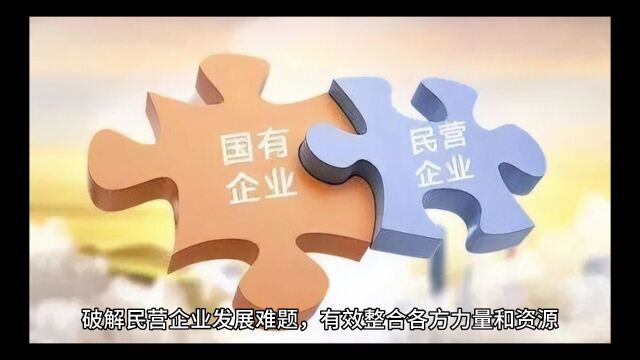 元培专家人才库携手多方力量,成立民营企业家智库