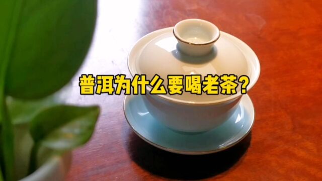 普洱为什么要喝老茶?