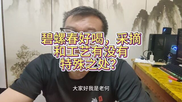 碧螺春好喝,在采摘和加工工艺是不是有特殊之处?关键价格还实惠