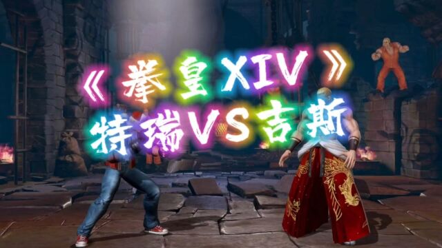 15.《拳皇XIV》特瑞VS吉斯