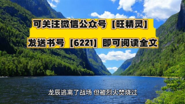 潜伏我一个假太监篡位很正常啊(龙炎)○全文免费阅读无删减