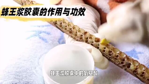 蜂王浆胶囊的作用与功效