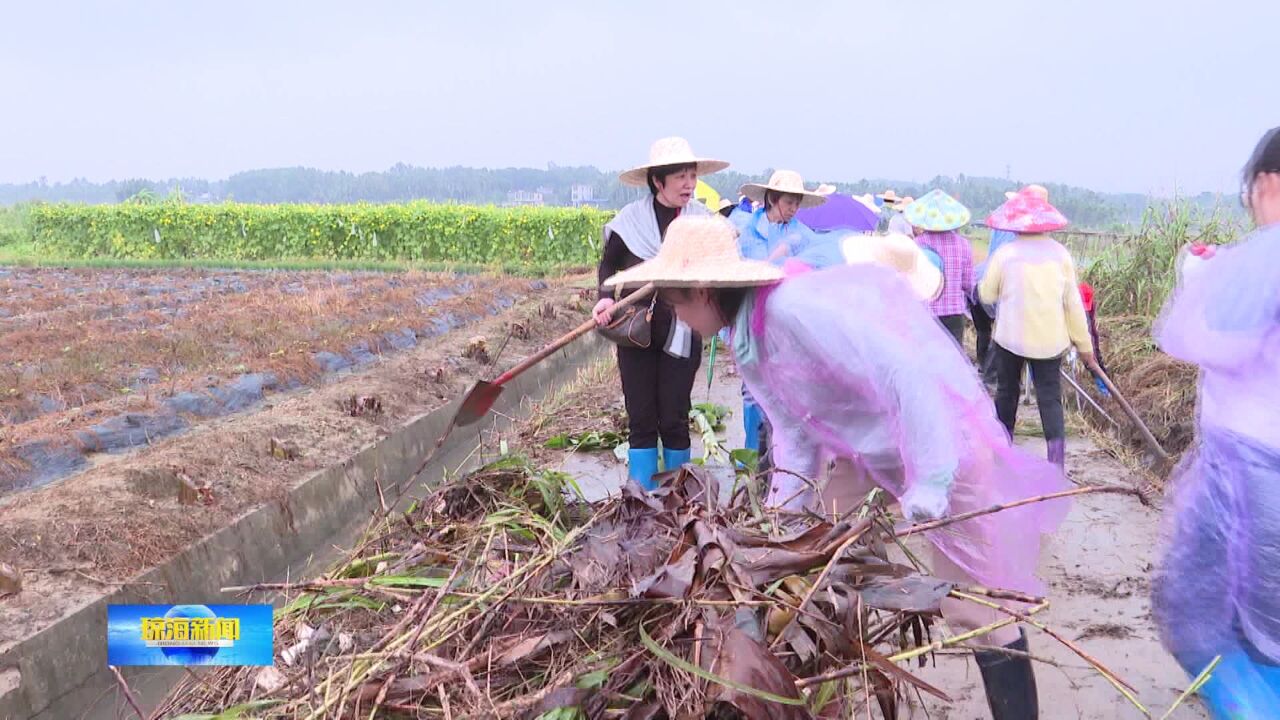 为民办实事丨干部群众齐上阵 大干快干掀起冬修农田水利热潮