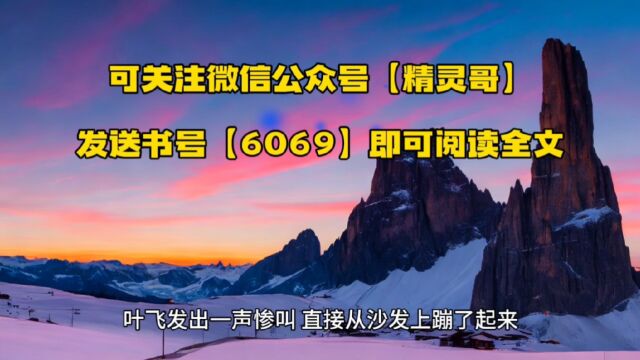 我靠肝技能成了兵王(叶飞小说全章节)○无弹窗免费阅读