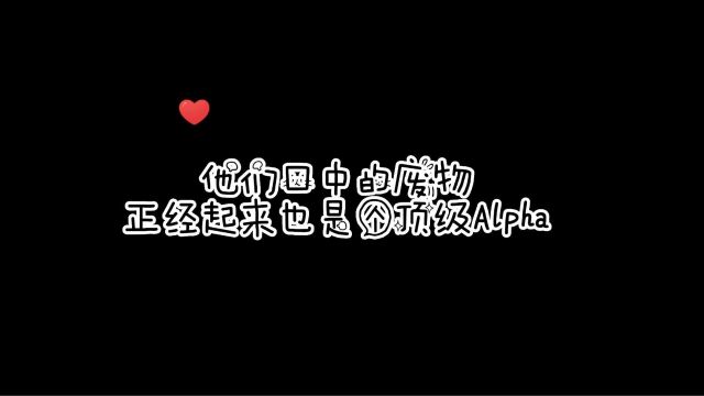 白历:我脾气不太好,所以别惹白大少爷不开心