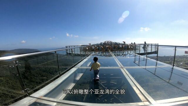 探秘海南亚龙湾热带森林公园,全海景玻璃栈道,将美景尽收眼底,亚龙湾热带森林公园全海景玻璃栈桥,惊险刺激!