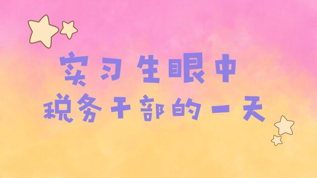 实习生眼中税务干部的一天