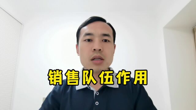 很多人不清楚销售队伍的真正作用