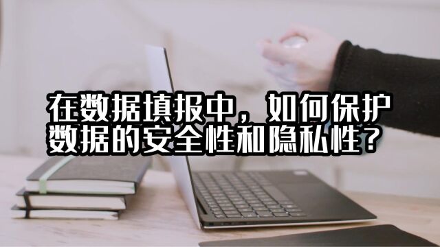 在数据填报中,如何保护数据的安全性和隐私性?