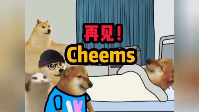 Cheems 再见!