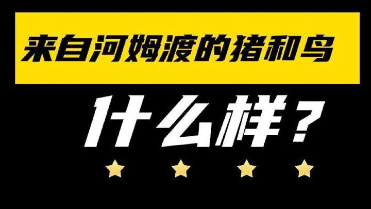 馆长带你徜徉浙江一万年④:来自河姆渡的猪和鸟什么样?