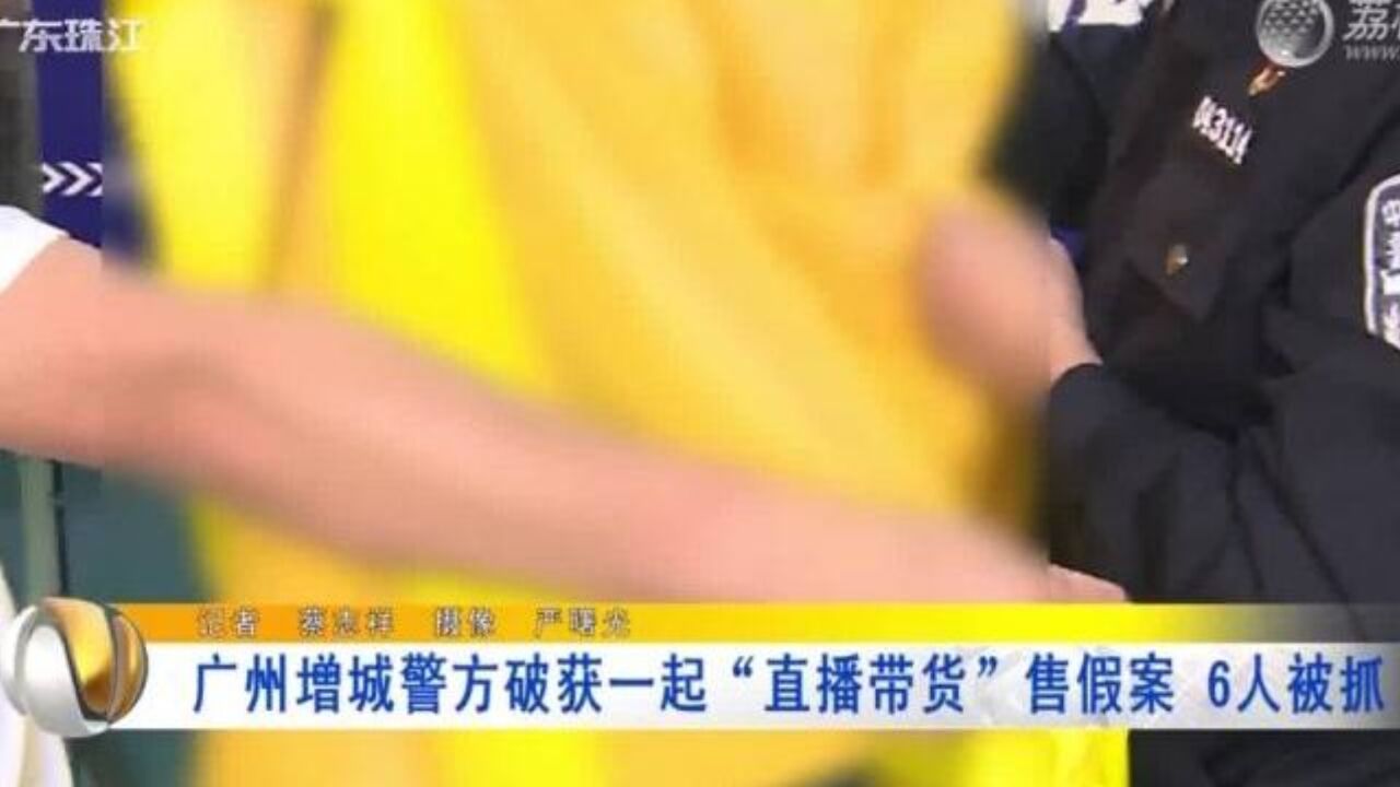 广州增城警方破获一起“直播带货”售假案 6人被抓