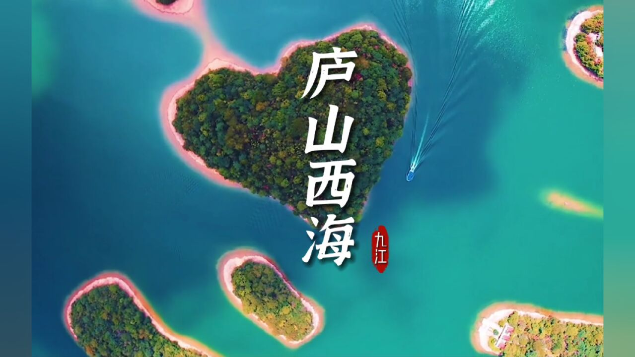 想带你去看爱心“海”~