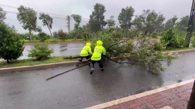 “海葵”登陆东山,暴雨席卷漳州!漳州多地被淹.