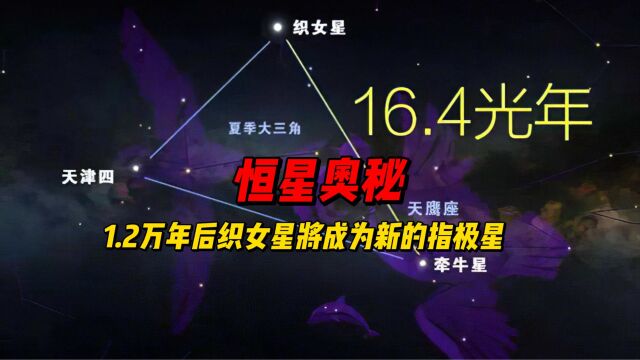 恒星奥秘:1.2万年后织女星将成为新的指极星