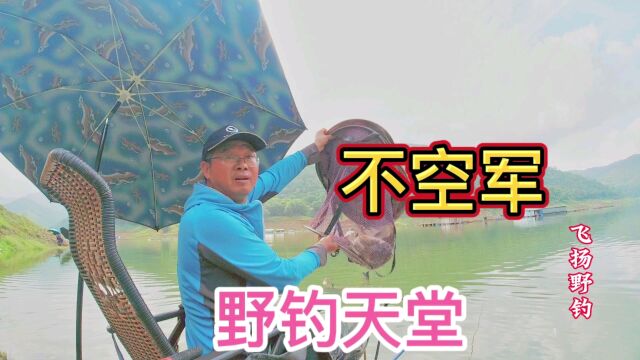 野钓:剥隘河是钓鱼人天堂,一坐就是半天赛过活神仙,是否真暴护