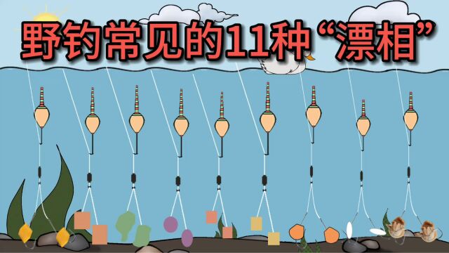 野钓常见的11种“漂相”,你遇见过几种?