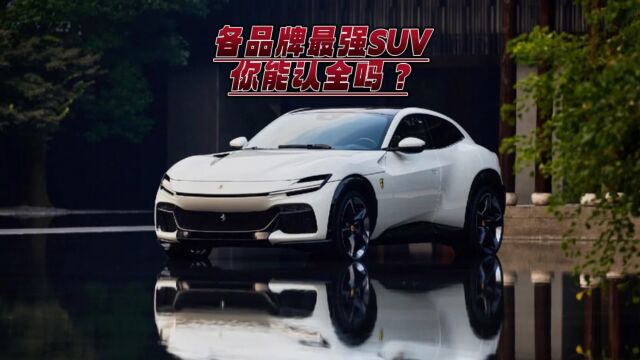 来看看品牌最强SUV,你能认全吗?