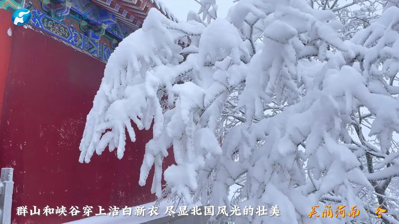 美丽河南ⷥ†켧„椽œ:雪后云台似仙境