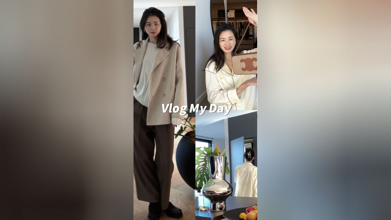 Vlog我的一天|发现一只Celine冷门小众包