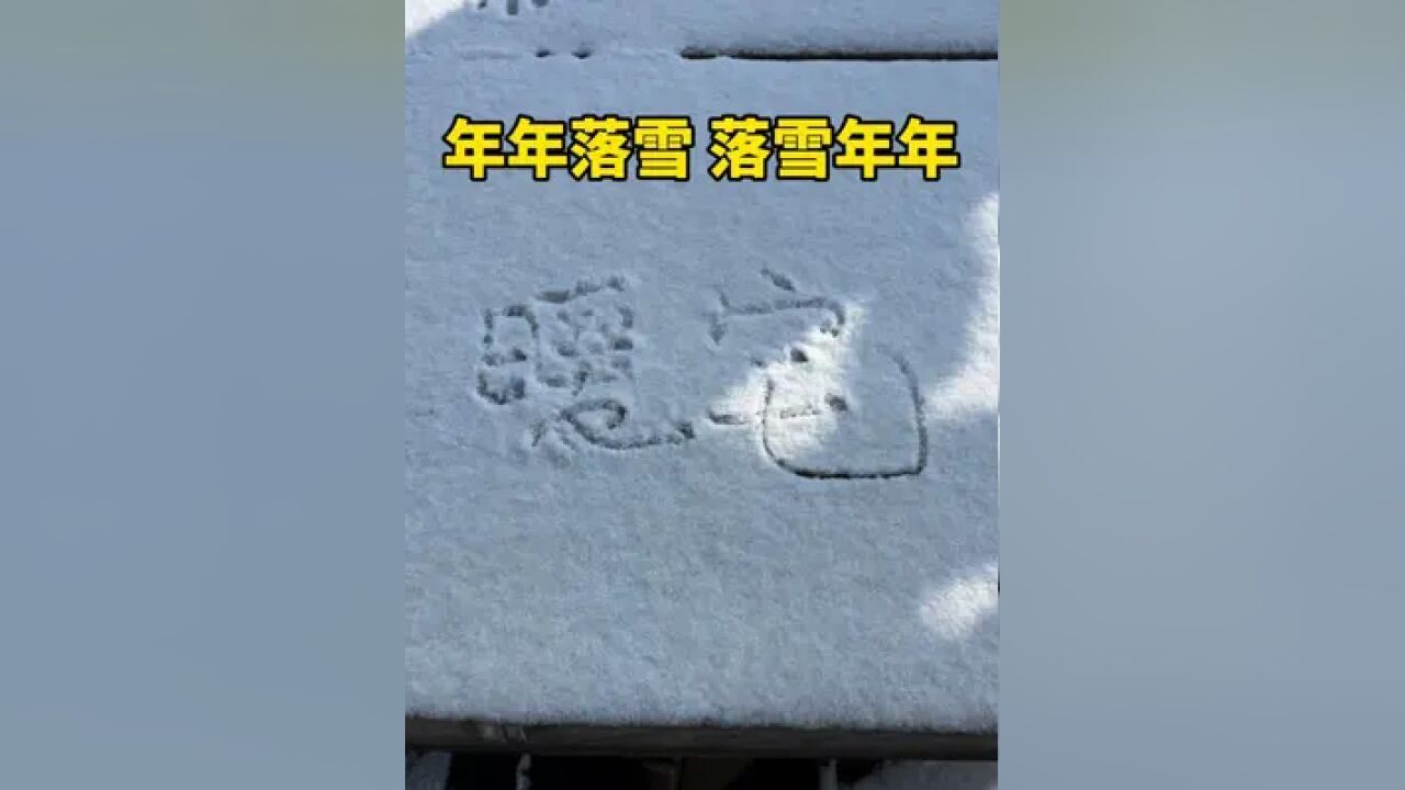 冬有冬的来意,雪有雪的秘密!