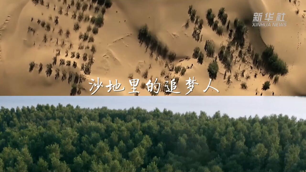 新春走基层|沙地里的追梦人