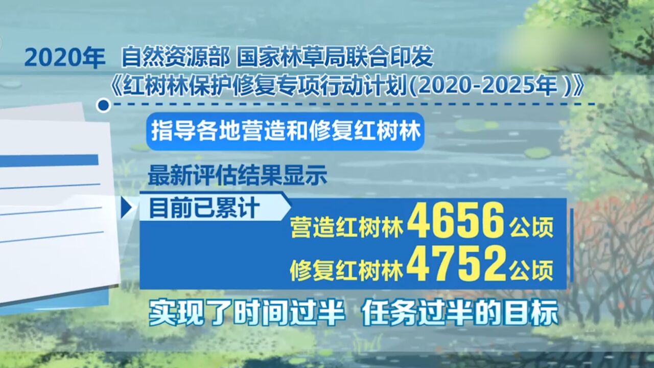 今天是第28个世界湿地日,数说湿地,我国湿地面积总体保持稳定