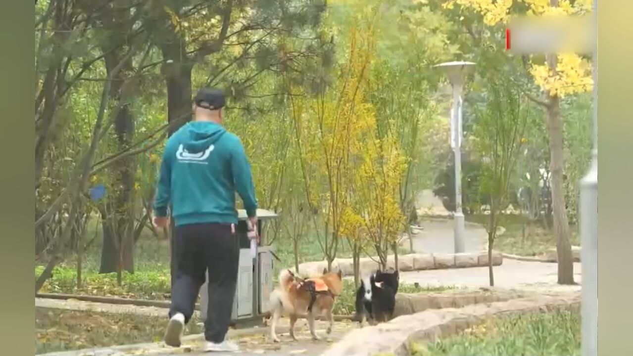 饲养动物要注意!最高法发布饲养动物损害责任典型案例