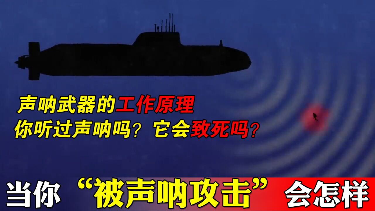 人类听到声呐会怎样?它是如何通过声音知道你在哪的