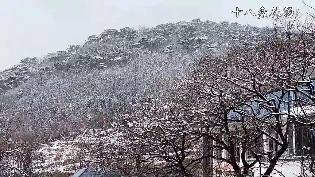 济宁邹城市:冰雪扮靓十八盘