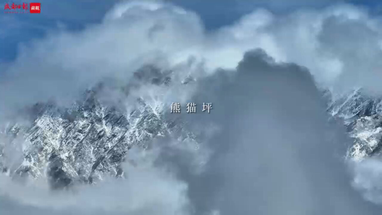 新年周边游 打卡高山雪甸熊猫坪