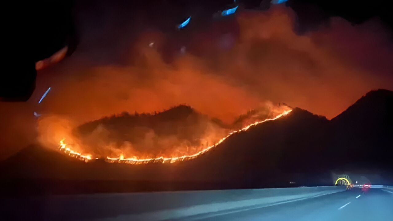 贵州仁怀一地突发山火,当地林业局:凌晨扑灭,无伤亡、房屋损毁