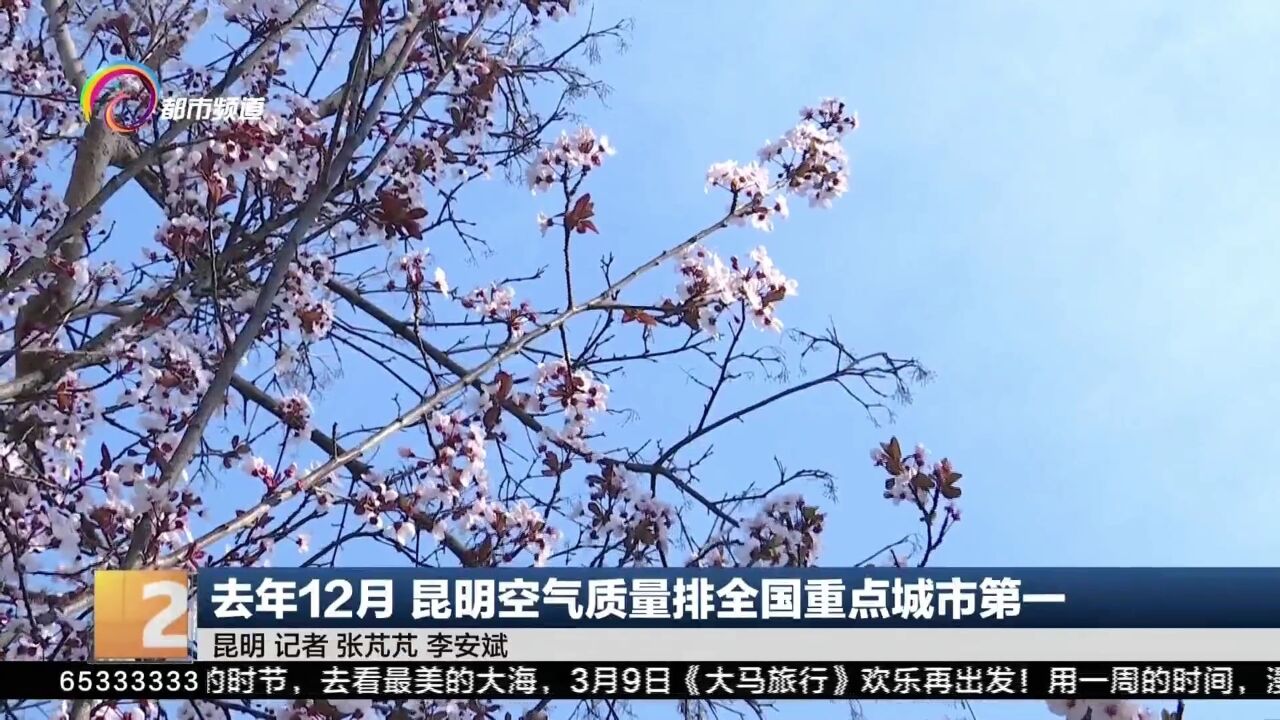 去年12月 昆明空气质量排全国重点城市第一