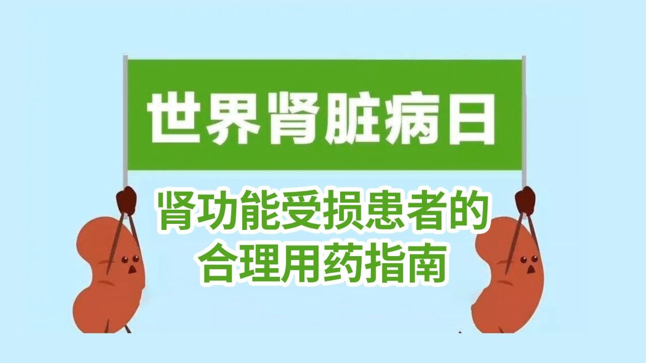 肾功能受损患者的合理用药指南