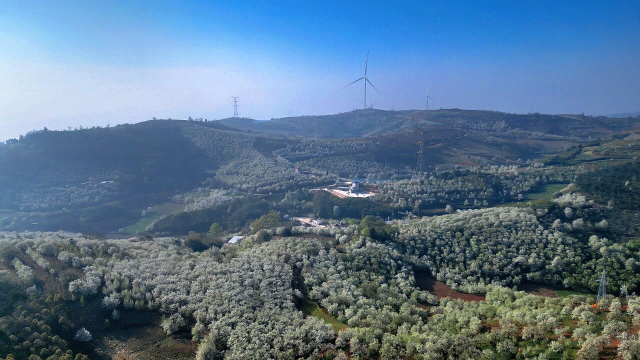 千城胜景|红河开远:2.8万亩梨花邀你“上春山”