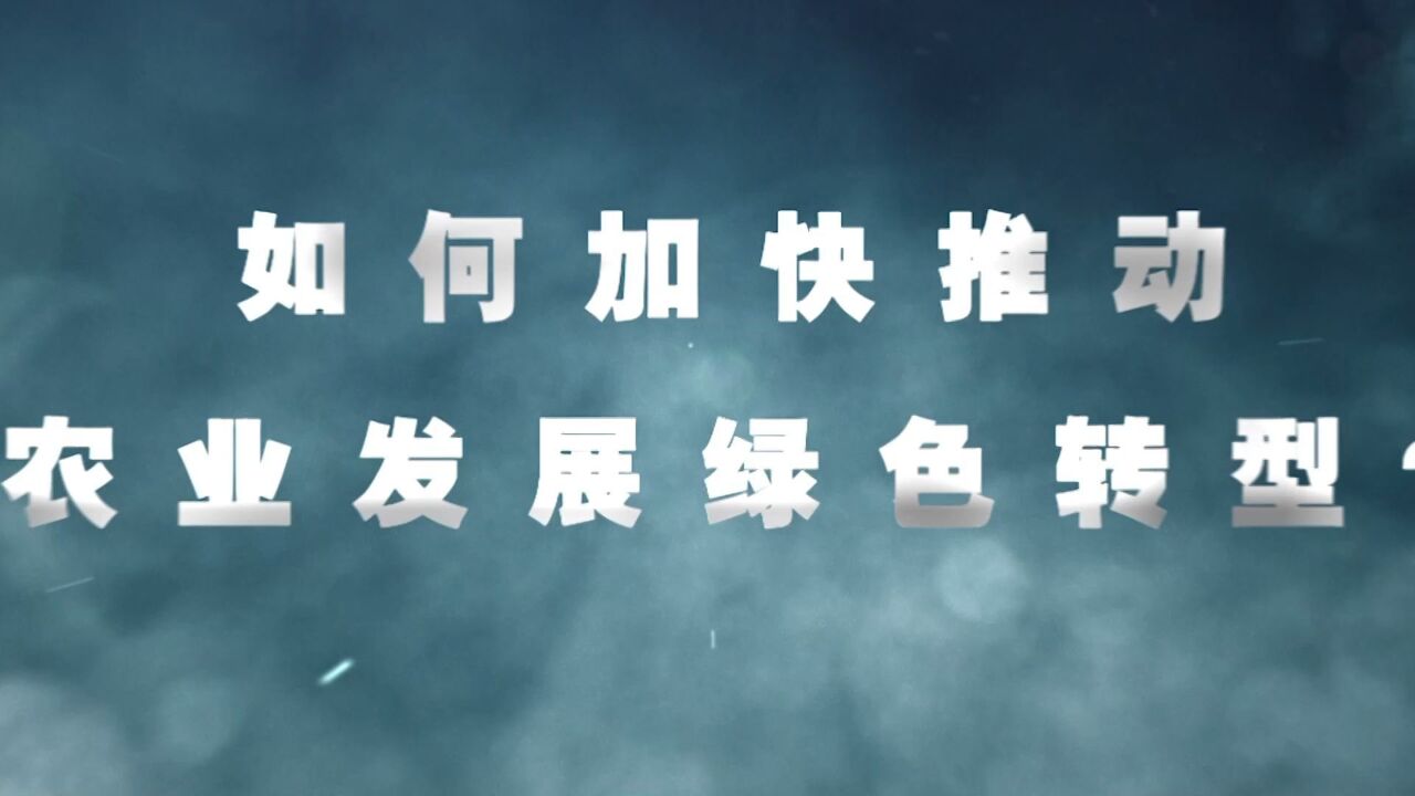 2024年中央一号文件精神解读:有力有效推进乡村全面振兴