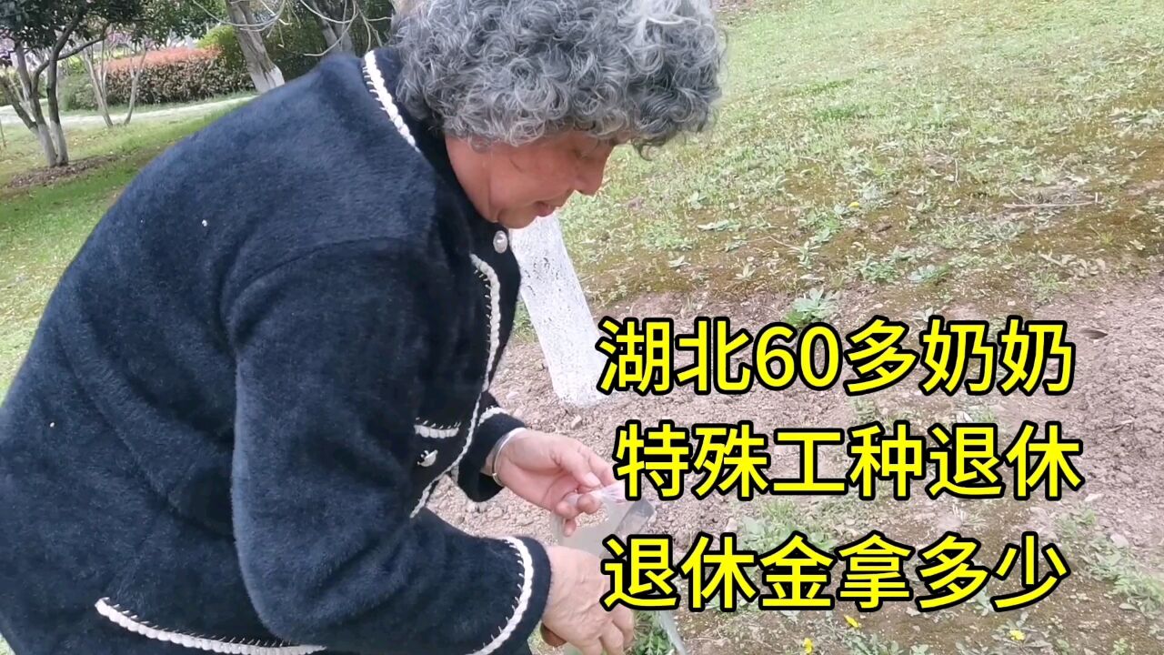 湖北60多奶奶,特殊工种退休,退休金拿多少