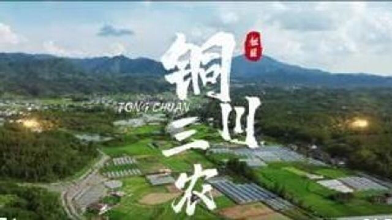 《铜川三农》铜川市耀州区马咀村 “南果北种”又添新成员