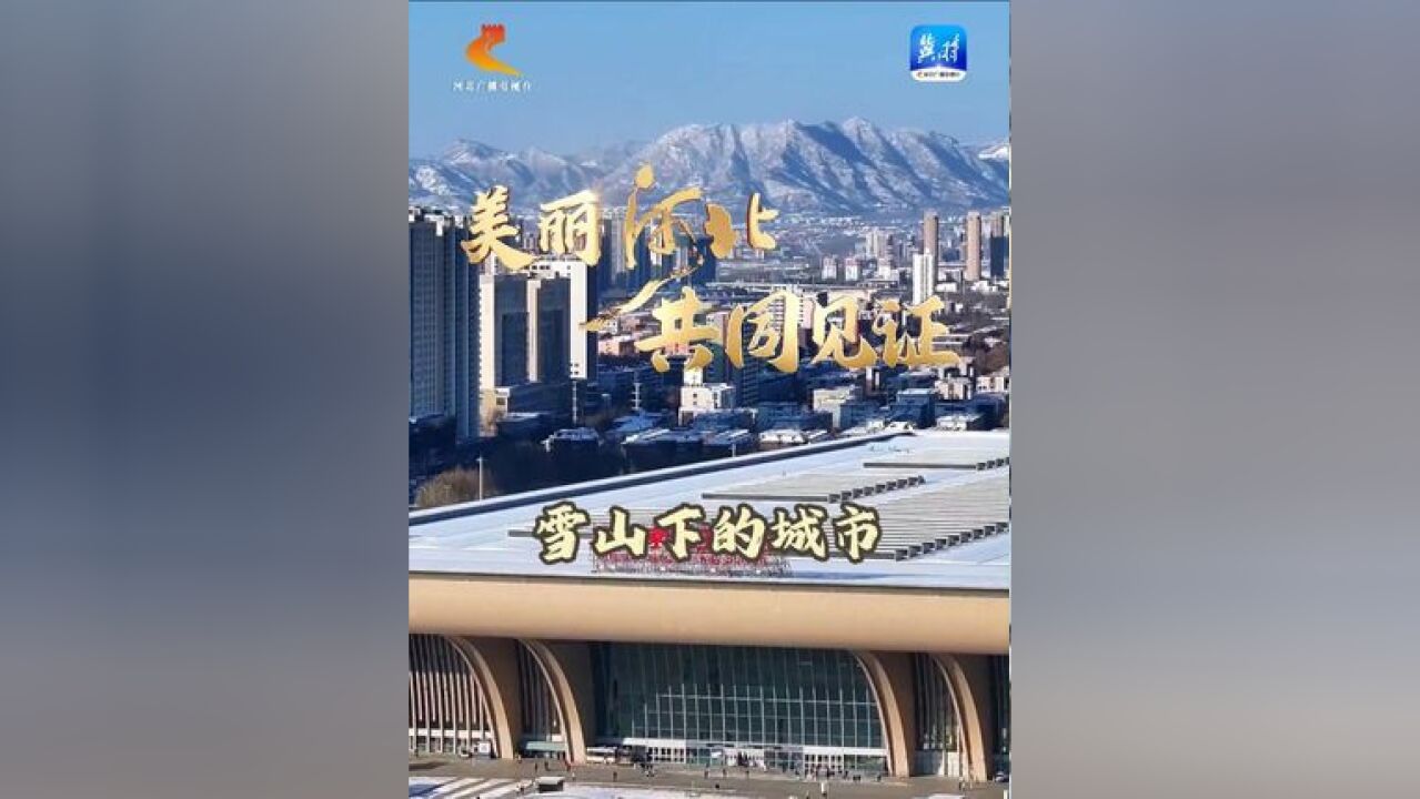 王亚楠《雪山下的城市》