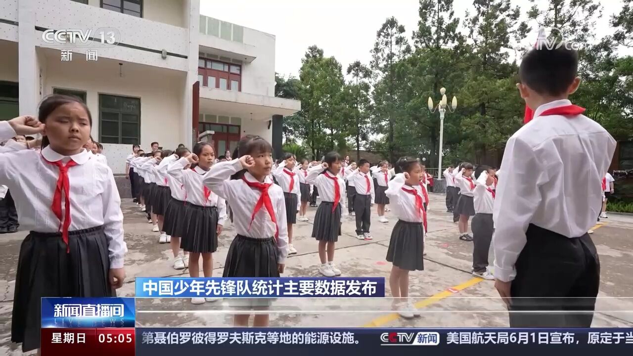 中国少年先锋队统计主要数据发布 全国共有少先队员11480.7万名