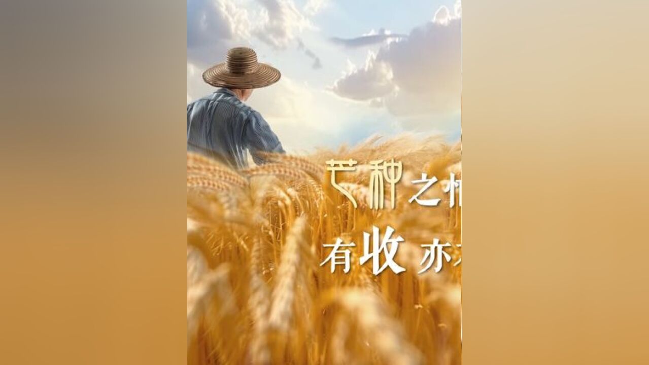 今日芒种:愿你“忙”而不茫,“种”有所得!